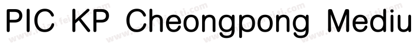 PIC KP Cheongpong Medium KP 97KPS F字体转换
